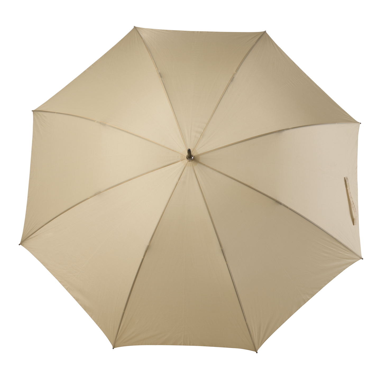 Umbrella rental - champagne