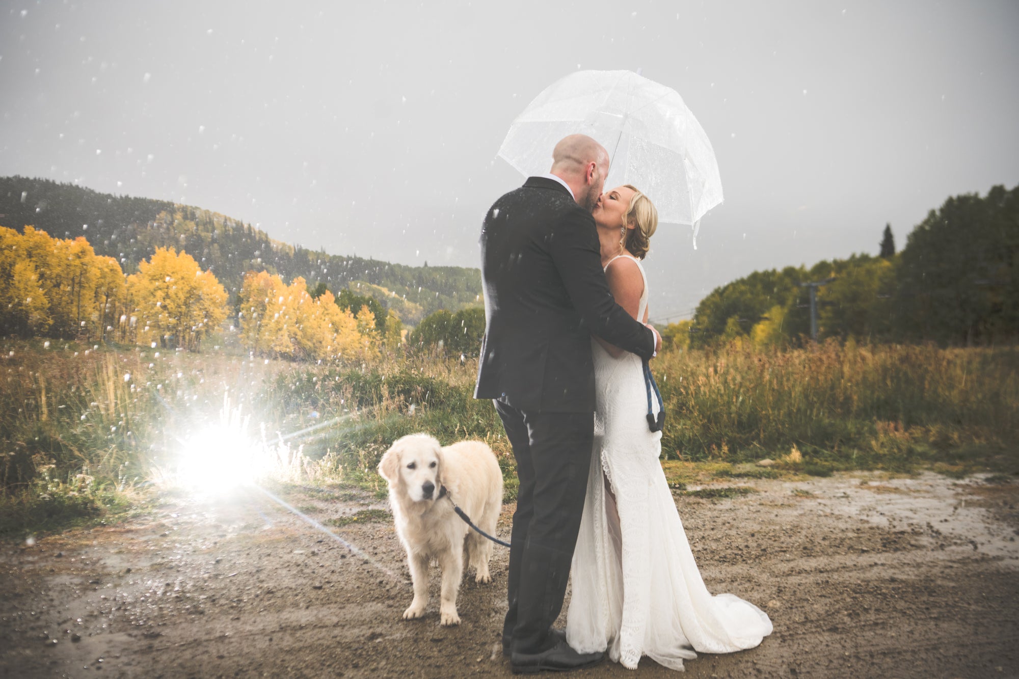 Unexpected Snowfall Adds Magic to Couple's Wedding Day: A Story of Love and Umbrellas