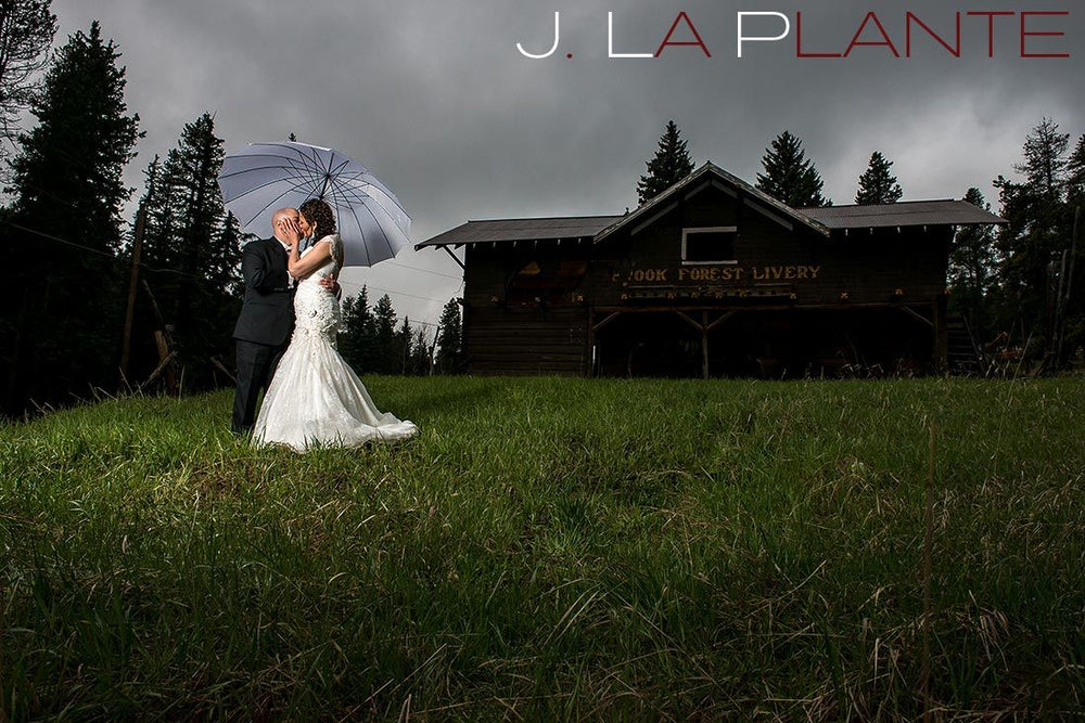 White Large 16-Panel Umbrella (Rental) event photo 2