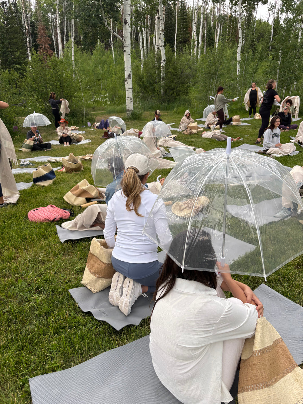 Clear Dome Umbrella (Rental) event photo 4