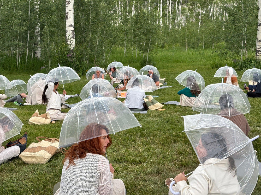 Clear Dome Umbrella (Rental) event photo 2