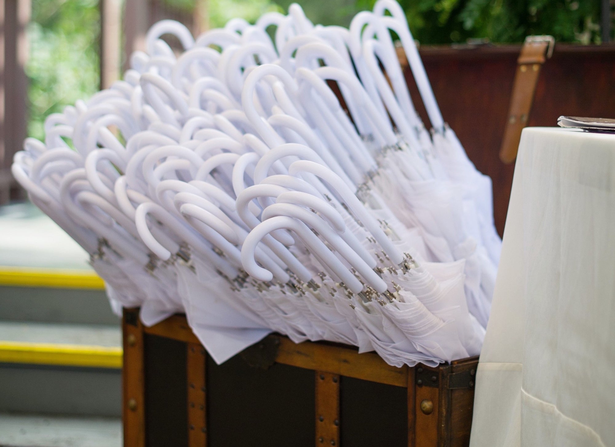 Classic White Umbrellas in Trunk