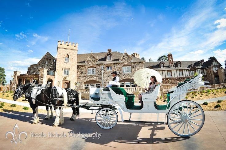Horse-drawn carriage rides are made more special with a nice umbrella. Credit: Nicole Nichols Photography