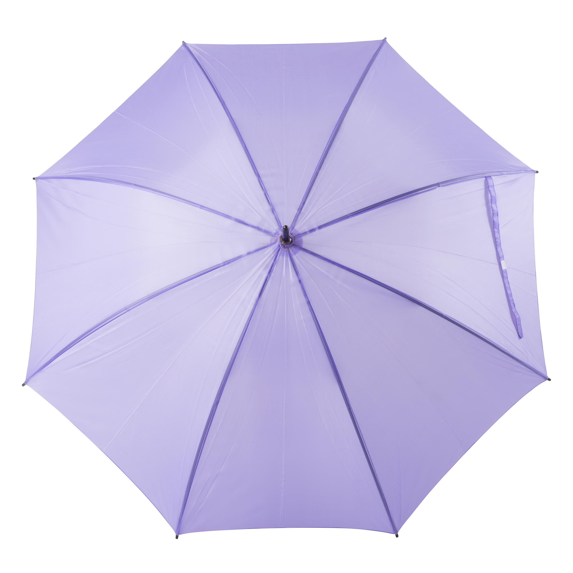 Purple umbrella for rental